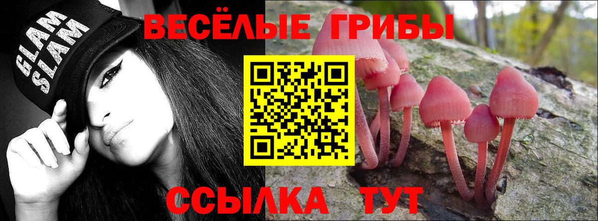 Ковров  закладка  Вход с VPN  Галлюциногенные грибы мухоморы 