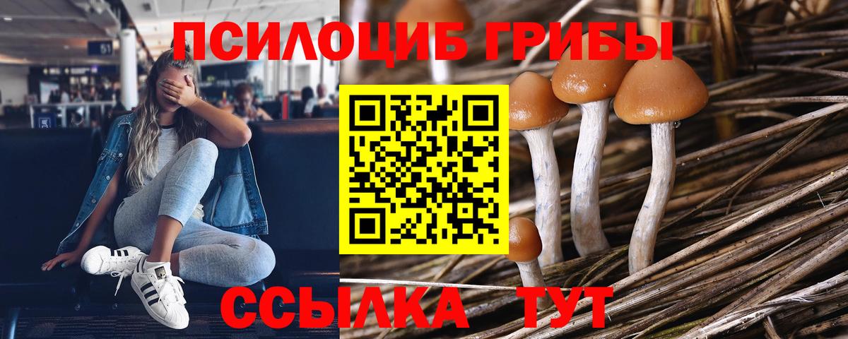 APVP Ковров